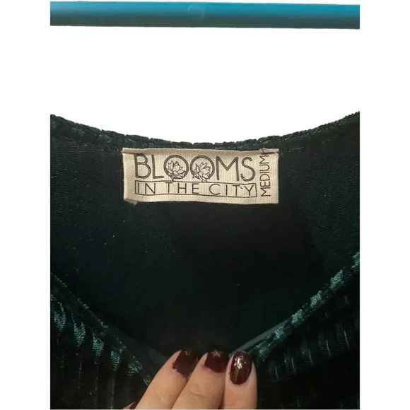 NEW Blooms In The City Velvet Dress sz Large Fitted Short Sleeve Stretch HOLIDAY - Picture 6 of 6